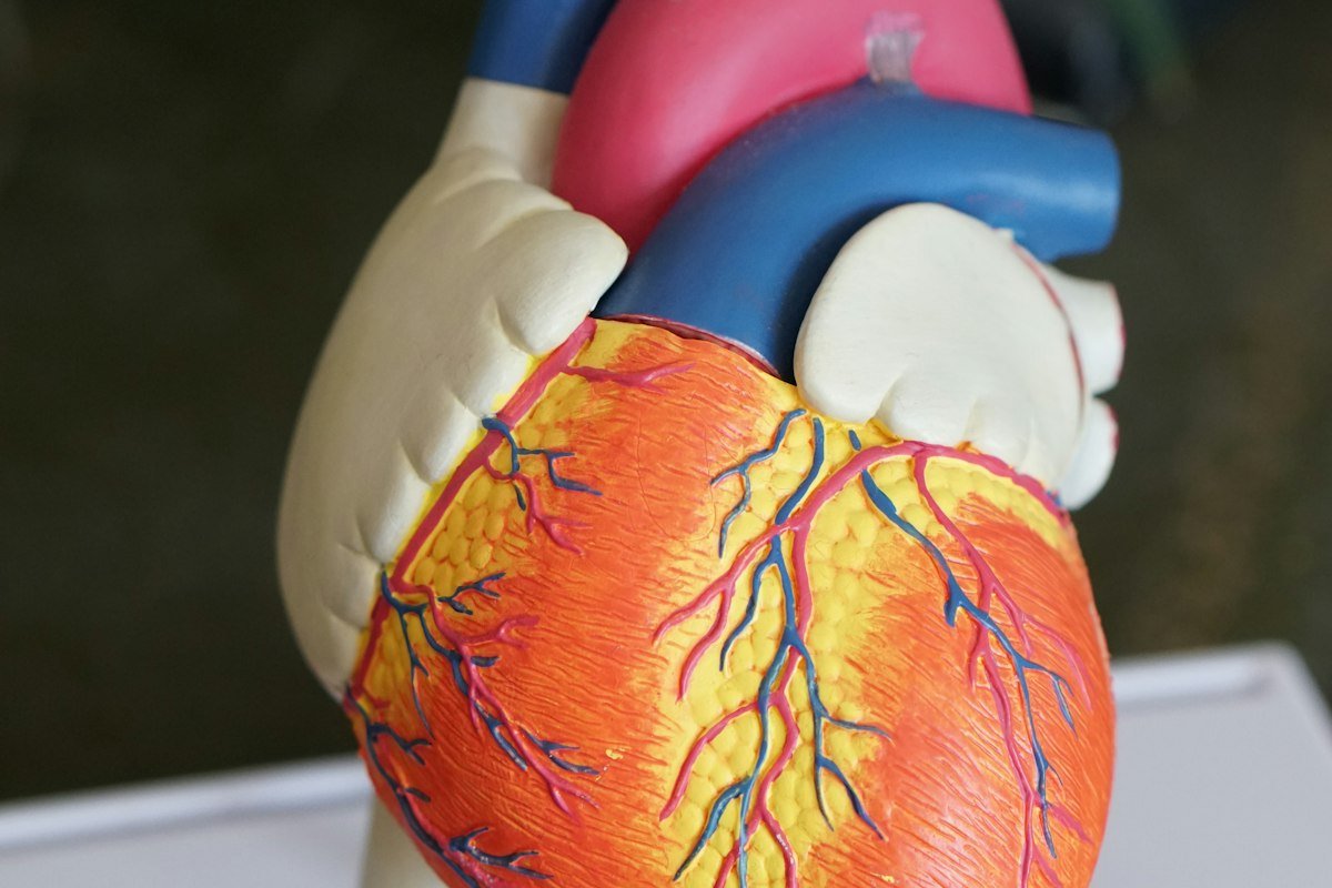 Densitometria Óssea na Clínica TopMedic em Nova Iguaçu